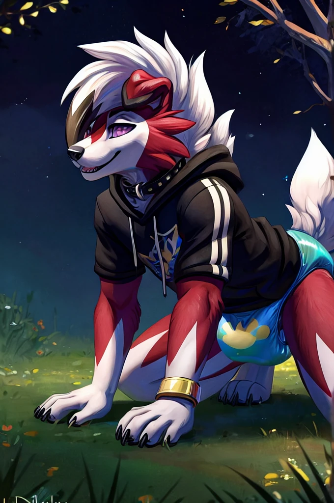 A dark purple Midnight femboy lycanroc wearing a black sweatshirt and a blue diaper and white socks with black stripes and a gold colored dog collar on his neck and with bracelets on his arms and crawling