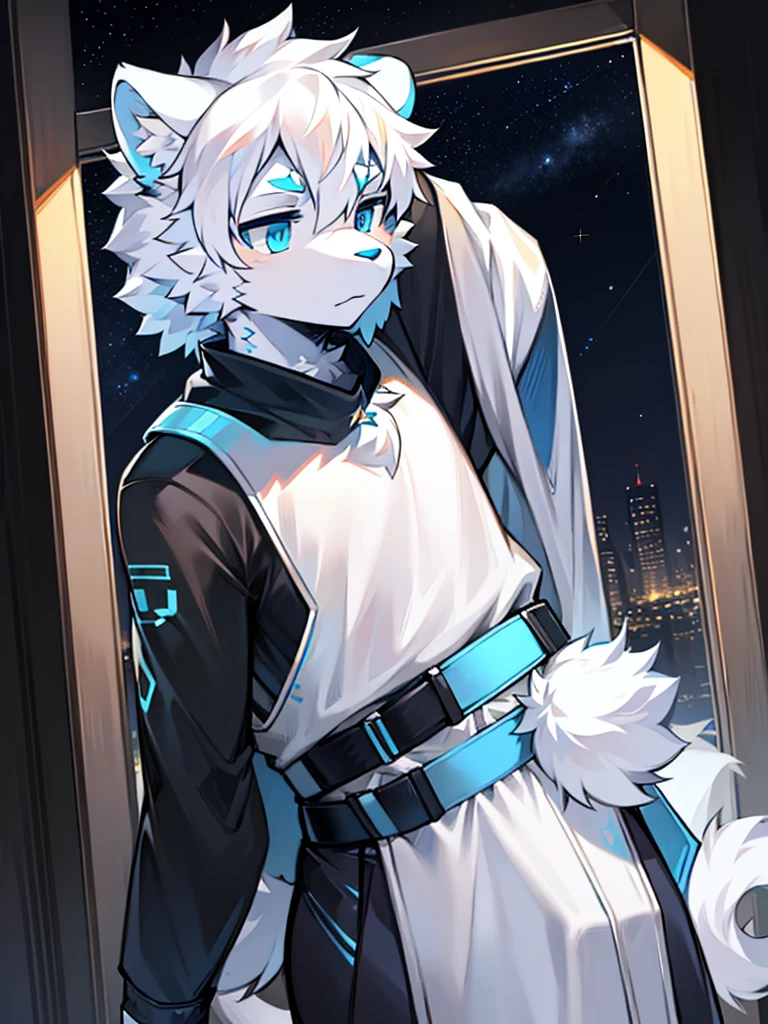 Furry lion, White fur, minimalist outfit, Blue pupil avatar, Like a teenager,Man looks calm looking avatar white hair costume tech style environment starry sky