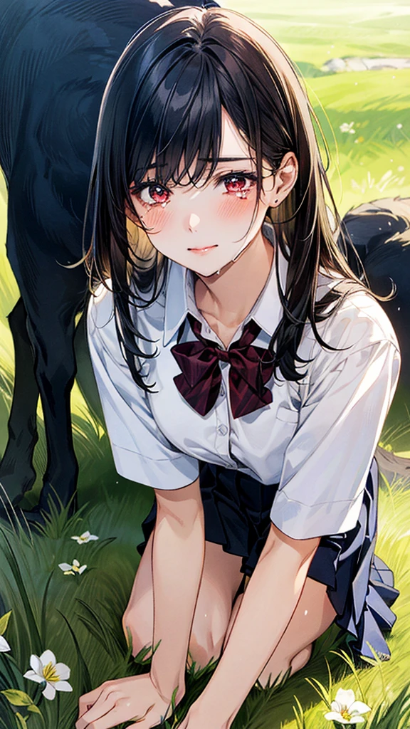 (masterpiece:1.2, top-quality), (realistic, photorealistic:1.4), beautiful illustration, (natural side lighting, movie lighting),
looking at viewer, (extreme close-up, from side), 1 girl, japanese, high school girl, perfect face, (perfect anatomy), cute and symmetrical face, shiny skin,
(middle hair, straight hair, black hair), asymmetrical bangs, dark red eyes, long eye lasher, (medium breasts, seductive thighs, big ass),
beautiful hair, beautiful face, beautiful detailed eyes, beautiful clavicle, beautiful body, beautiful chest, beautiful thigh, beautiful legs,
((insanely detailed clothes, white collared shirt, navy pleated skirt, dark red bow tie)), In the grass of a meadow, a girl is on all fours, being held from behind by a large dog, holding her by the waist.
Her face is bright red, her eyes are closed, her mouth is open, and she is crying.
The skirt is very short.