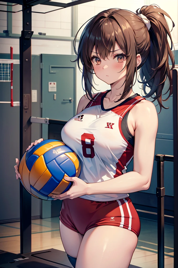 1.5, best quality, high quality, High definition, High quality texture, high detail, beautiful detailed, finely detailed, extremely detailed cg, detailed texture, ((ANIME)), 1girl, woman, female, ((volleyball player)), jersey, large breasts, brown hair, ponytail, tied up hair, shaggy hair, serious, gym shorts