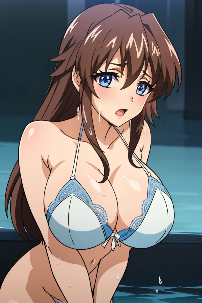 masterpiece, best quality, ultra high res, ultra-detailed, outdoor pool, sunset, beautiful city landscape, 1 girl, hibiki, slut, (brown hair: 1.3), (brown eyes: 1.3), hairy pubic hair, (gigantic tits and giant cleavage: 1.6), (naked: 1.5), sweating, (hibiki is lying on the pool side in a sensual way spreading her legs wide open and squirting lots of love juice from her exposed pussy while enjoys vaginal and anal vibrators looking at the viewer with a lustful slut ahegao expression and hard moaning in a sensual and suggestive way with open mouth and her tongue out from an orgasm: 1.6)