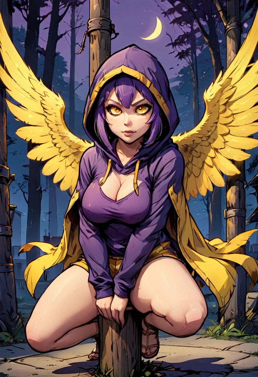 score_9, score_8_up, score_7_up, score_6_up, score_5_up, score_4_up, BREAK source_anime,rating_risky,a girl, curvy, pale skin, harpy, squatting on a pole, wings outstretched, face hidden in shadows, hood on head, yellow glowing eyes, thich thighs, shorts, tight clothing, bold comic style, purple clothes with yellow highlights
