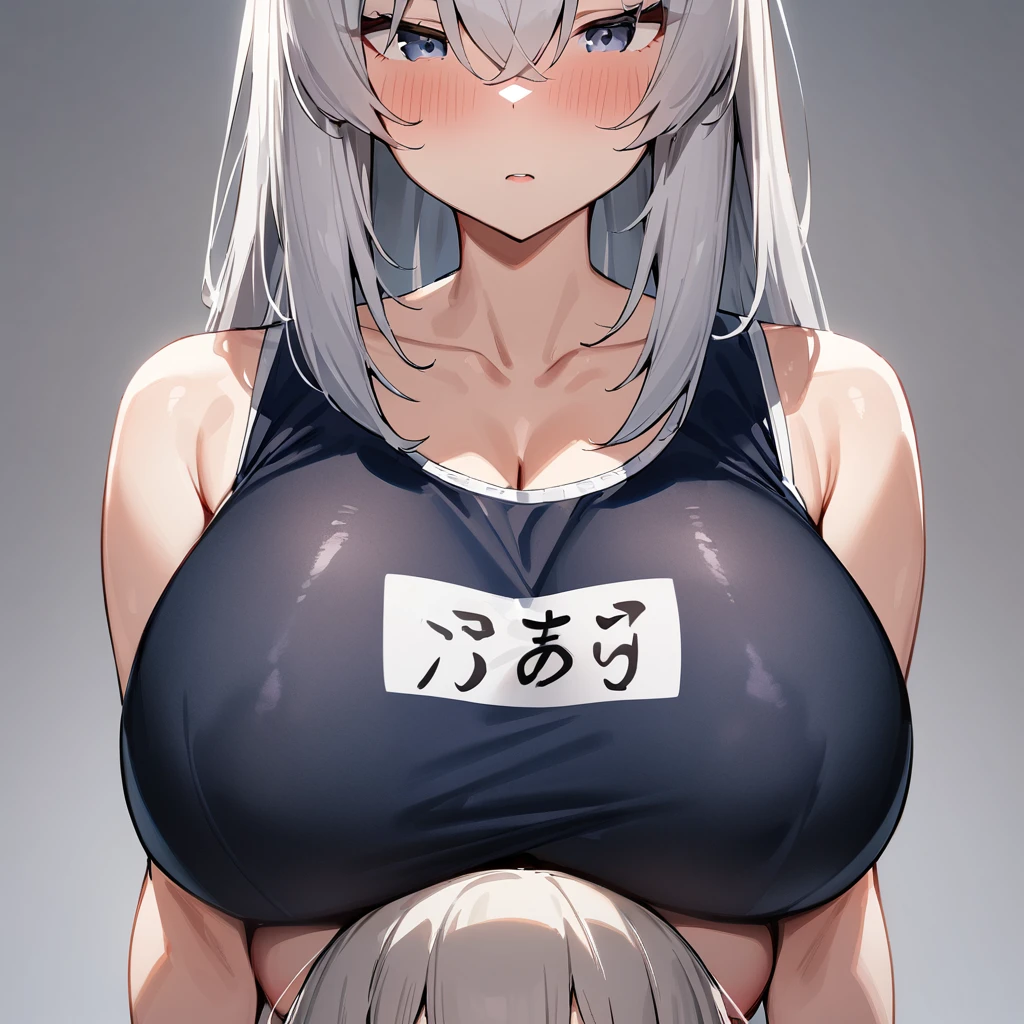 nsfw,2girls,Gray Hair,light hair,School Swimsuit,Big Breasts,Covered udder,chest,masterpiece, best quality, very aesthetic, absurdres,upper body,straight-on,nsfw