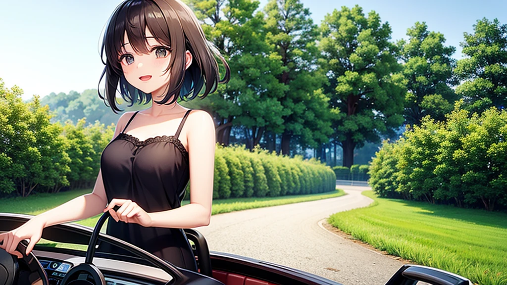 An anime girl driving a convertible car through a picturesque countryside, the morning light shining brightly. She is wearing a favorite casual outfit, with her hair flowing in the wind and a joyful smile on her face. The background features rolling green hills, blooming wildflowers, and a clear blue sky. The sun rises, casting a warm, golden glow across the scene, symbolizing hope and new beginnings. The girl's expression is full of excitement and determination, reflecting her dreams and true heart. As she drives, the road ahead is lined with beautiful scenery, including a quaint farmhouse and a winding dirt path. The atmosphere is filled with a sense of freedom and adventure, with vibrant colors and natural lighting highlighting her journey. The car's radio is playing music, and she is singing along passionately, embodying the spirit of living life to the fullest.
