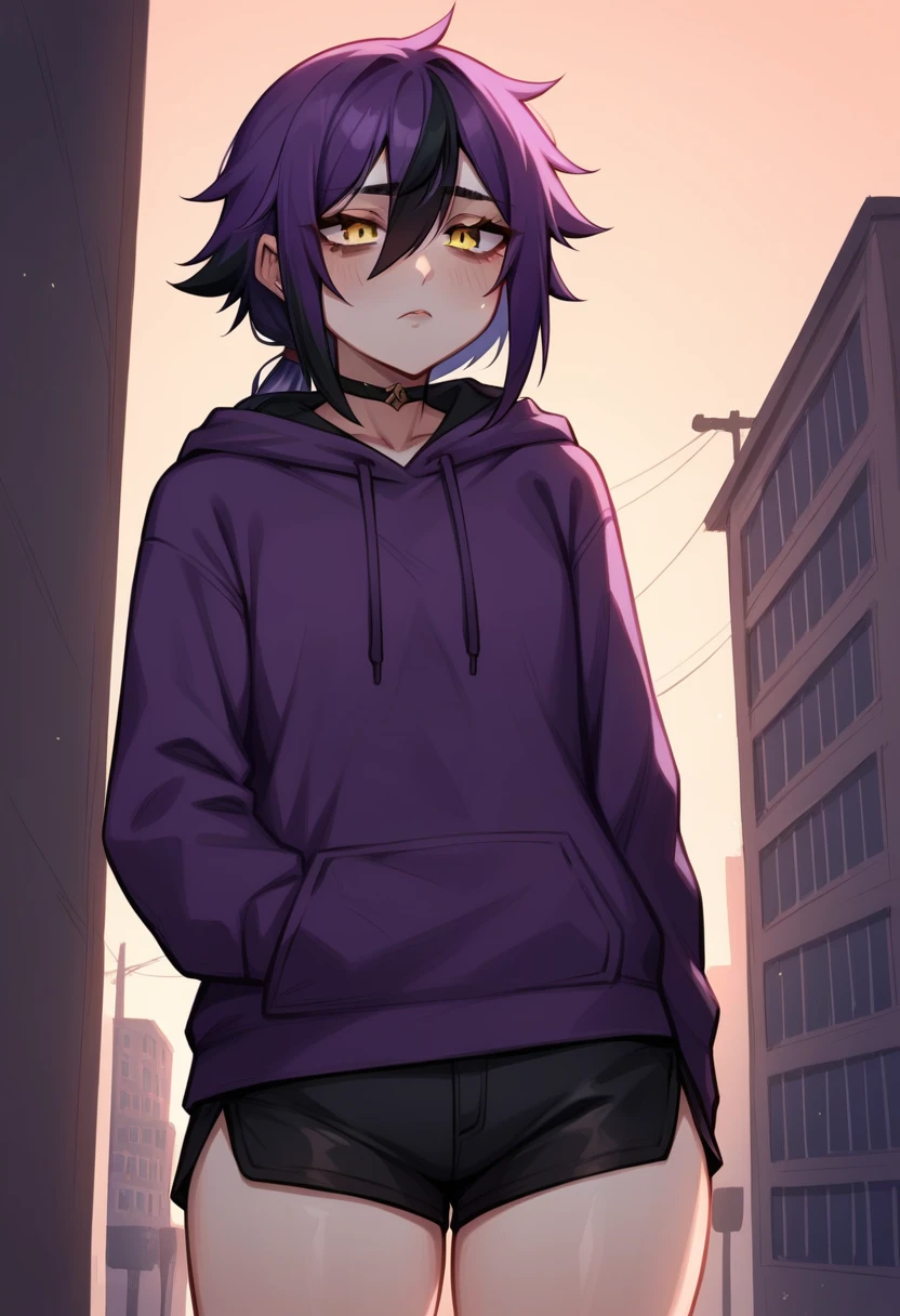 score_9, score_8_up, score_7_up, score_6_up, score_5_up, score_4_up, BREAK source_anime,rating_risky, a girl, thin, pale skin, skinny, tired expression, low ponytail, purple hair, yellow eyes, eye bags, tired expression, purple hoodie, thick thighs, black shorts, tight clothing, bold comic style, city background, purple clothes with black highlights, nighttime, neon lights, hard lighting
