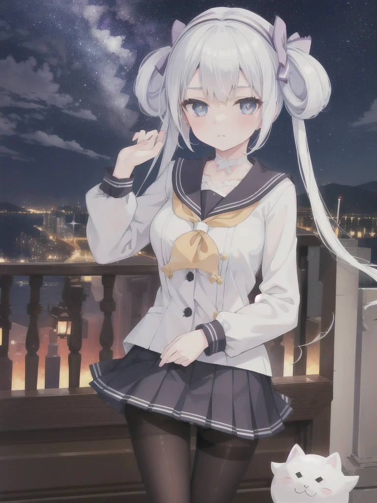 1girl,solo,dark_sky,night,white hair,serafuku,sailor_collar,closed mouth,medium_breasts,park,((white_pantyhose)),cleavage, white_bra,blush,pleated skirt,
