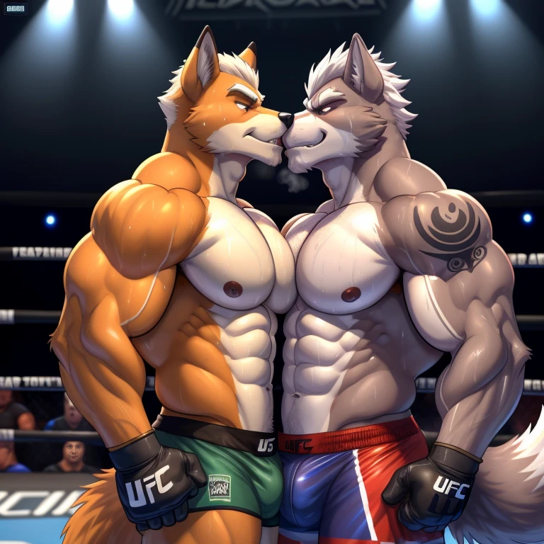 Duo male(Fox Mcloud vs Wolf O'donnell, handsomes, Thick eyebrows), gay(Stomped, embraced, cuddling, hot abs frottage, face to face, kissing each other, on a UFC match), hot(Shirtless), handsomes(They are handsomes, correct anatomy), musculosos(Big muscle bodies, Six packs, muscle abs, big pecs, muscle backs, muscle legs), sweaty(very sweaty wet bodies, shiny sweat), tatuajes(they have tattoos), Grumpy(Both have an grumpy expression, growling, grumpy teeths, steaming breath), UFC gloves(They both are wearing UFC gloves), UFC boxers(They both are wearing UFC boxers), Hight resolution, by(Zourik:1.1)