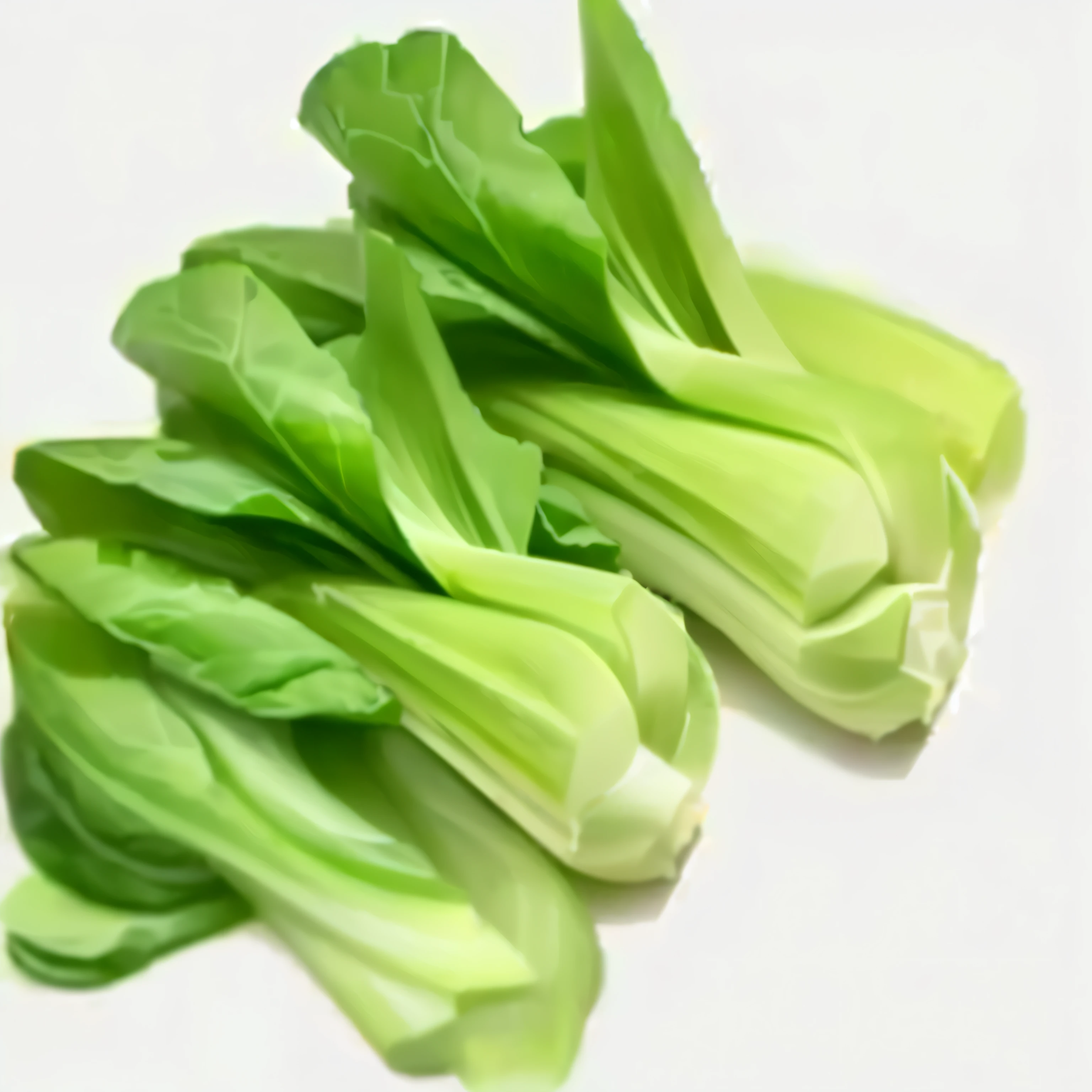 a close up of a bunch of green vegetables on a white surface, greens), vegetable, lettuce, ramps, green, vegetable, 灵感来自Which布, vegetable foliage, vegetables, Wang Chen, wet, Which, herb, loose, greens, Fresh, Stem, Chinese, longque chen, corn, strangeness, tasty, salad, gujian