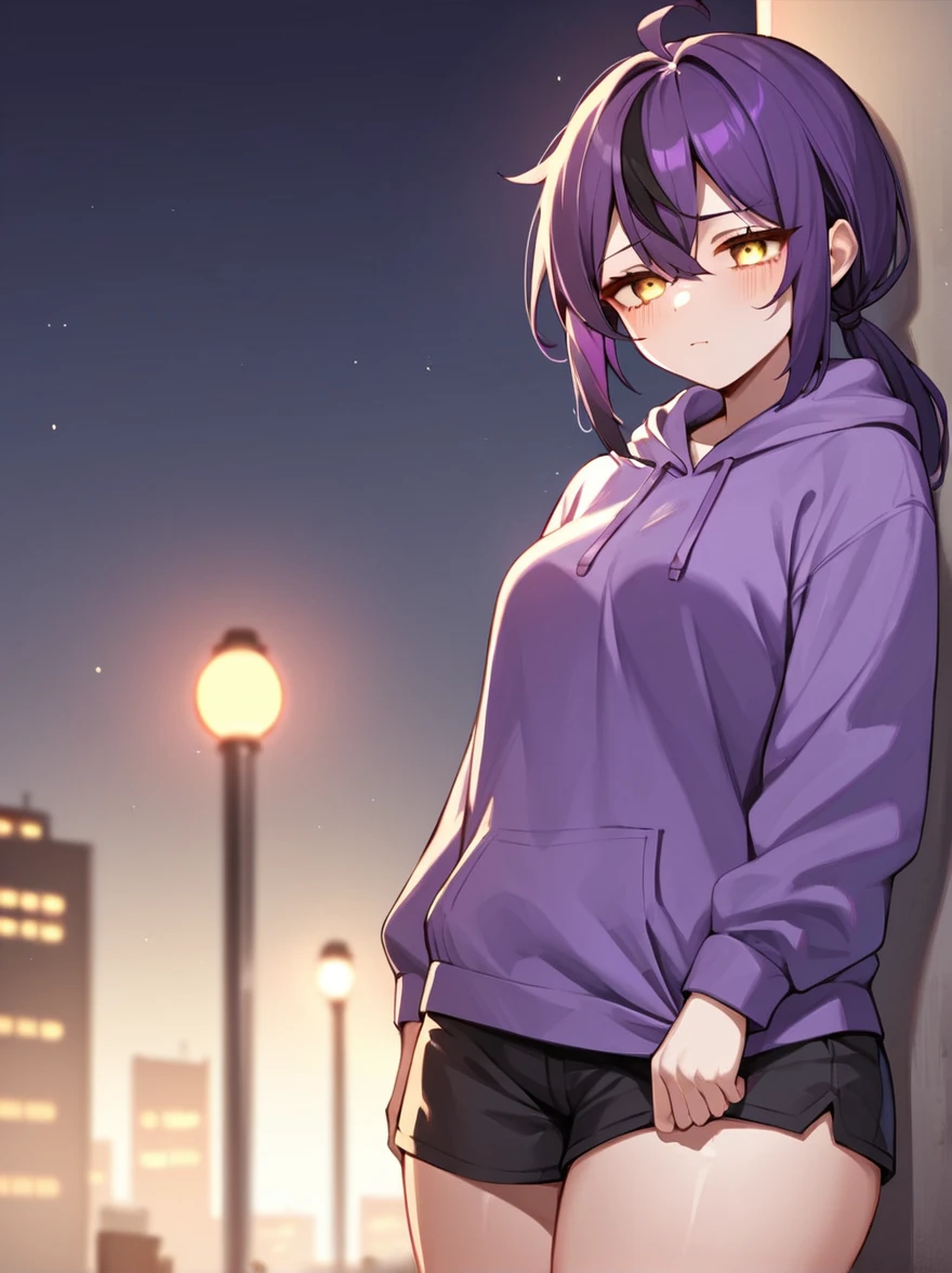 score_9, score_8_up, score_7_up, score_6_up, score_5_up, score_4_up, BREAK source_anime,rating_risky, a girl, thin, pale skin, skinny, tired expression, low ponytail, purple hair, yellow eyes, eye bags, tired expression, purple hoodie, thick thighs, black shorts, tight clothing, bold comic style, city background, purple clothes with black highlights, nighttime, neon lights, hard lighting