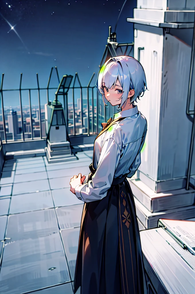 Masterpiece, anime still, intricate details, uhd, 4k, hdr, EyeDetail, (1girl, 1boy,) ((standing back to back)), ((tall male, short female)), looking at the viewer, at night, school rooftop
