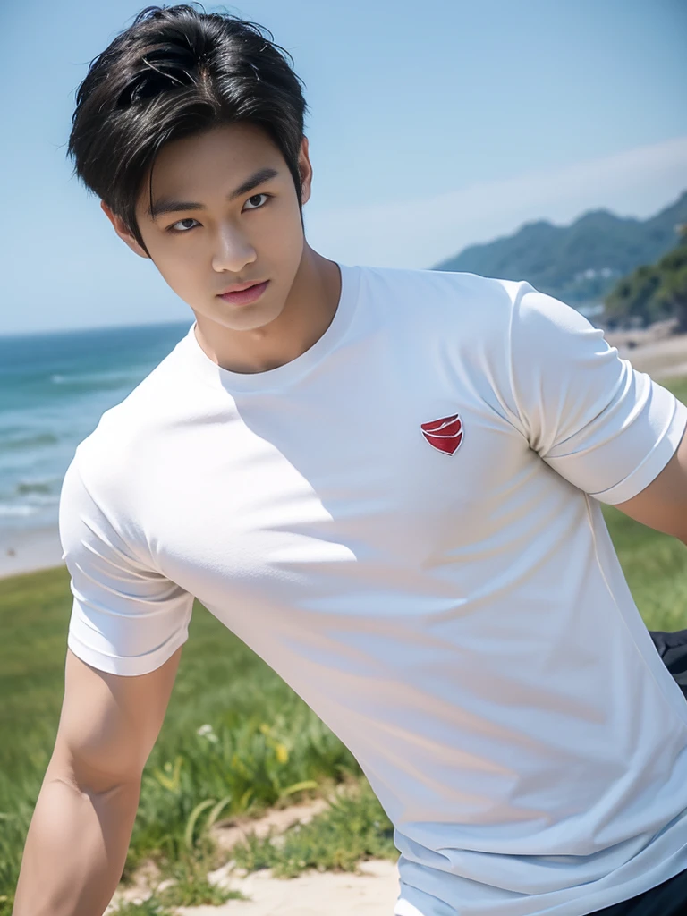 A handsome, muscular young Asian man looks at the camera. In a simple t-shirt white and red , Fieldside, grass, beach, sunlight, Carrying a camera