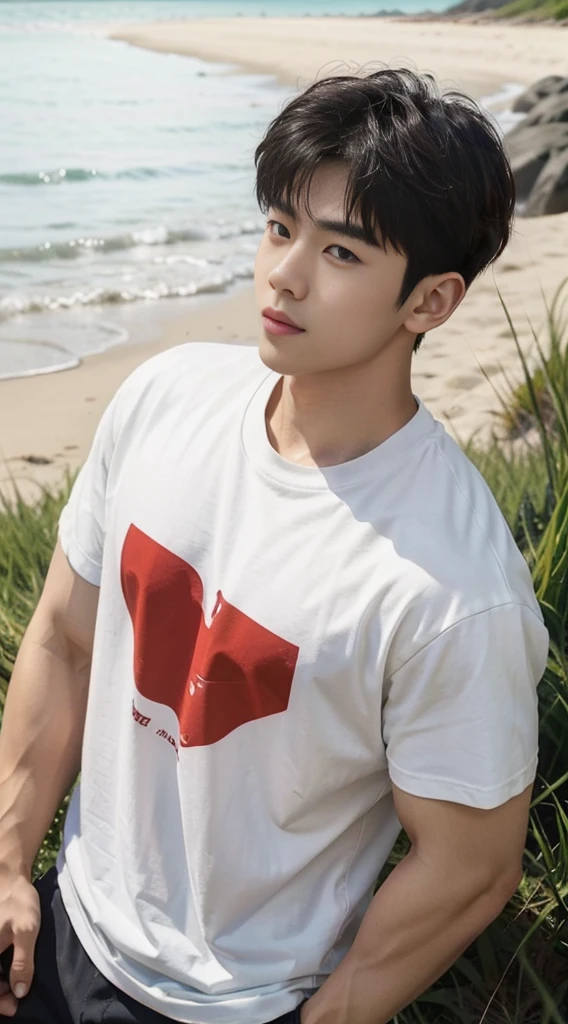 A handsome, muscular young Asian man looks at the camera. In a simple t-shirt white and red , Fieldside, grass, beach, sunlight