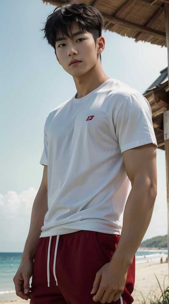 A handsome, muscular young Asian man looks at the camera. In a simple t-shirt white and red , Fieldside, grass, beach, sunlight, Carrying a camera