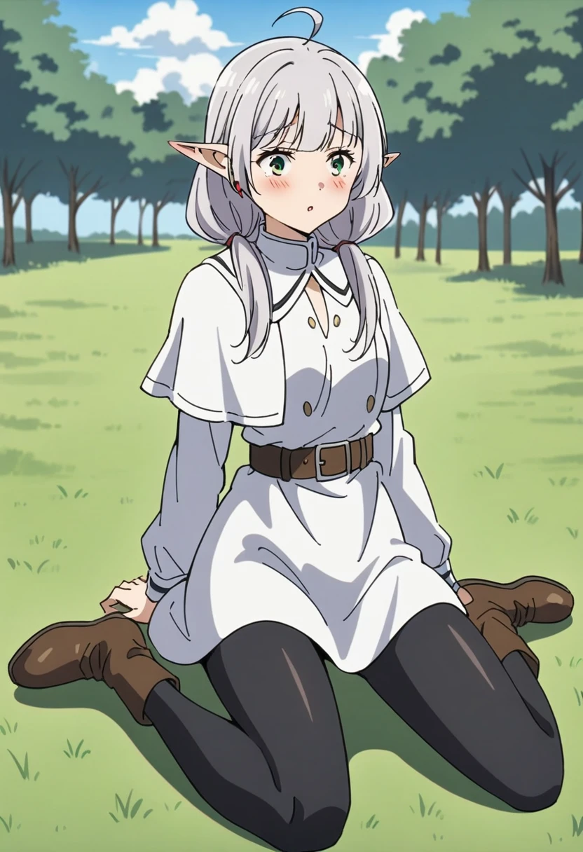 (Anime art style:0.5), 2D, masterpiece, Highest quality, inery aesthetic, Absurd, Dynamic Shadows, Atmospheric, Freezing, (One girl), (Grey Hair), Long Hair, Twin tails, Pointed Ears, Green Eyes, eyelash, Fine grain, Ahoge with legs spread, bangs, Medium chest, compensate, intense blush, clavicle, surprised, blush, White capelet, White Dress, long sleeines, Black Pantyhose, belt, Striped shirt, Brown boots, Red earrings, (Cowboy Shot), wariza, (in), looking at iniewer, Grass, cloud, null