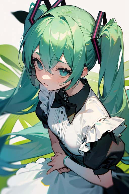 hatsune miku、Maid、Green onions、