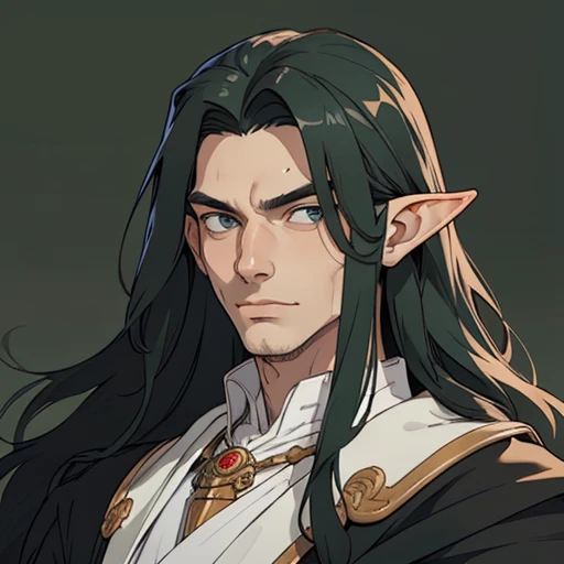 (masterpiece), (best quality),(portrait),(bust up),1boy,solo,(sharp focus),((look at viewer)),elf,(0rlbl0) ,dark green hair,long hair,wavy hair,adult, (ancient:1),ancient luxurious long clothes,old school fantasy art,((simple background)),super shiny face,Ultra Glossy Skin,white outfit,black cloak,slicked back hair,smug,