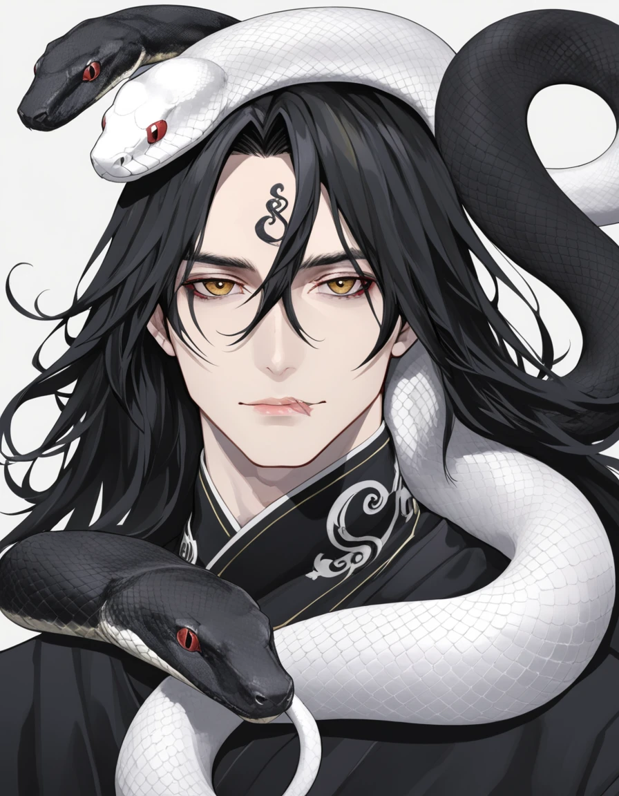 Long hair man,White snake and black snake coiled around