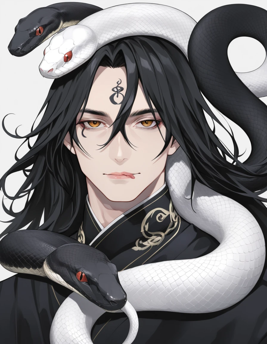 Long hair man，White snake and black snake coiled around