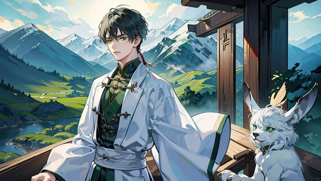The man wore a white robe with an ancient Chinese pattern. , Handsome like a villain,green eyes,Dark theme , strong , ,Chinese martial arts theme , Behind is a mountain. , The scenery is more important than the characters.