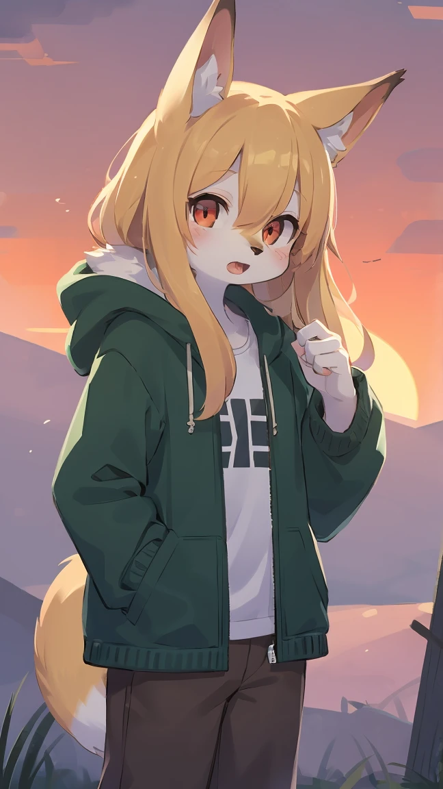 Fox Shota, , It was hairy, Hairy, Fur, smooth eyelashes, Golden fur, Forelimb Hand, long blonde hair straight, Round eyes, Golden ears, Golden fur, golden face fur, Shiny Hair, Red eyes, Very cute face, 1 fox tail, Fluffy tail, Hairy尻尾, Glowing Eyes, Green coat Green hooded down jacket, Brown trousers, Are standing, Open your mouth, Zhou Haoguang, Very fine fur, Broken Eye, whole body, masterpiece, high quality, high detail, 最high quality, wide short, (((alone))), Twilight, Light of the sun, Red Sky, Rim Light