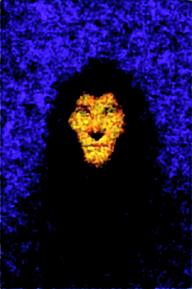 Stylised animated illustration depicting the character Scar from the 1994 Disney film "The Lion King". The character is depicted as a lion with a dark mane and piercing green eyes, his facial expression is slightly menacing with a wide grin exposing sharp teeth. The background depicts a night landscape and a hint of green wildlife below, suggesting a mysterious and dangerous atmosphere. The illustration style is reminiscent of the work of artist Chris Sanders, with a unique and engaging interpretation of a classic Disney character.