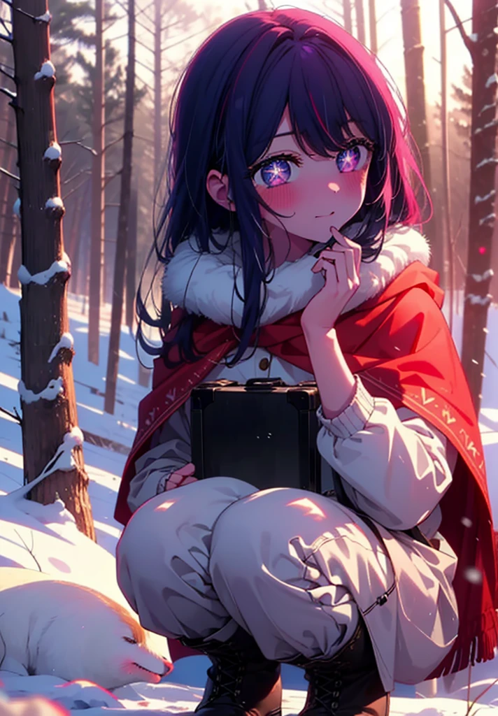 aihoshino, Ai Hoshino, Long Hair, bangs, (Purple eyes:1.1), Purple Hair, (Symbol-shaped pupil:1.5), smile,,smile,blush,White Breath,
Open your mouth,snow,Ground bonfire, Outdoor, boots, snowing, From the side, wood, suitcase, Cape, Blurred, , forest, White handbag, nature, Squat, Mouth closed, Cape, winter, Written boundary depth, Black shoes, red Cape break looking at viewer, Upper Body, whole body, break Outdoor, forest, nature, break (masterpiece:1.2), Highest quality, High resolution, unity 8k wallpaper, (shape:0.8), (Beautiful and beautiful eyes:1.6), Highly detailed face, Perfect lighting, Highly detailed CG, (Perfect hands, Perfect Anatomy),