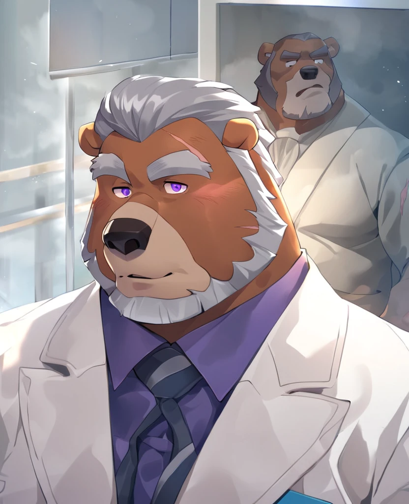 Bear,personification,Mature male,Hercules,Gray hair,Gentle expression,Purple pupils,Gray eyebrows,Scars on the face(1.9),White suit suit,Hands in pockets,The Age of Steam,Hospital Office。