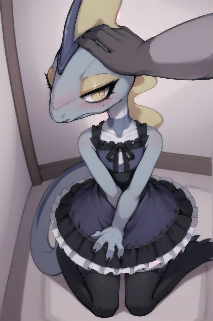 furry, Inteleon, kneeling, pat on the head, small stature, back of the hallway of a house, long stockings, a little scared, a little blushing, lolita dress