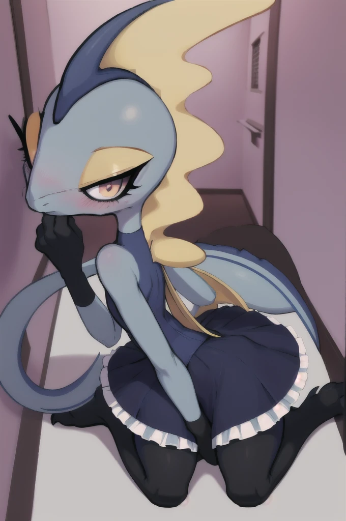 furry, Inteleon, kneeling, pat on the head, small stature, back of the hallway of a house, long stockings, a little scared, a little blushing, lolita dress