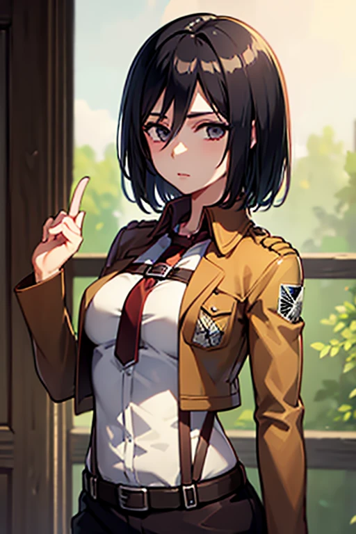 1girl,ultra high details, ultra high auality,(highly detailed face)1.2,(high quality of face)1.3,Mikasa Ackerman,highly detailed abs,perfect female anatomy, best quality of shadows,highly detailed muscles,beautiful face,volume shadows