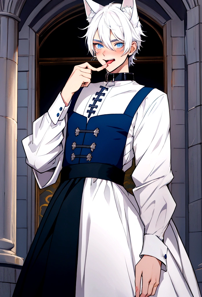 young male ager, white hair, blue eyes, crossdress, wearing a dog collar, dog ears, sticking tongue out, embarassed, prince dress