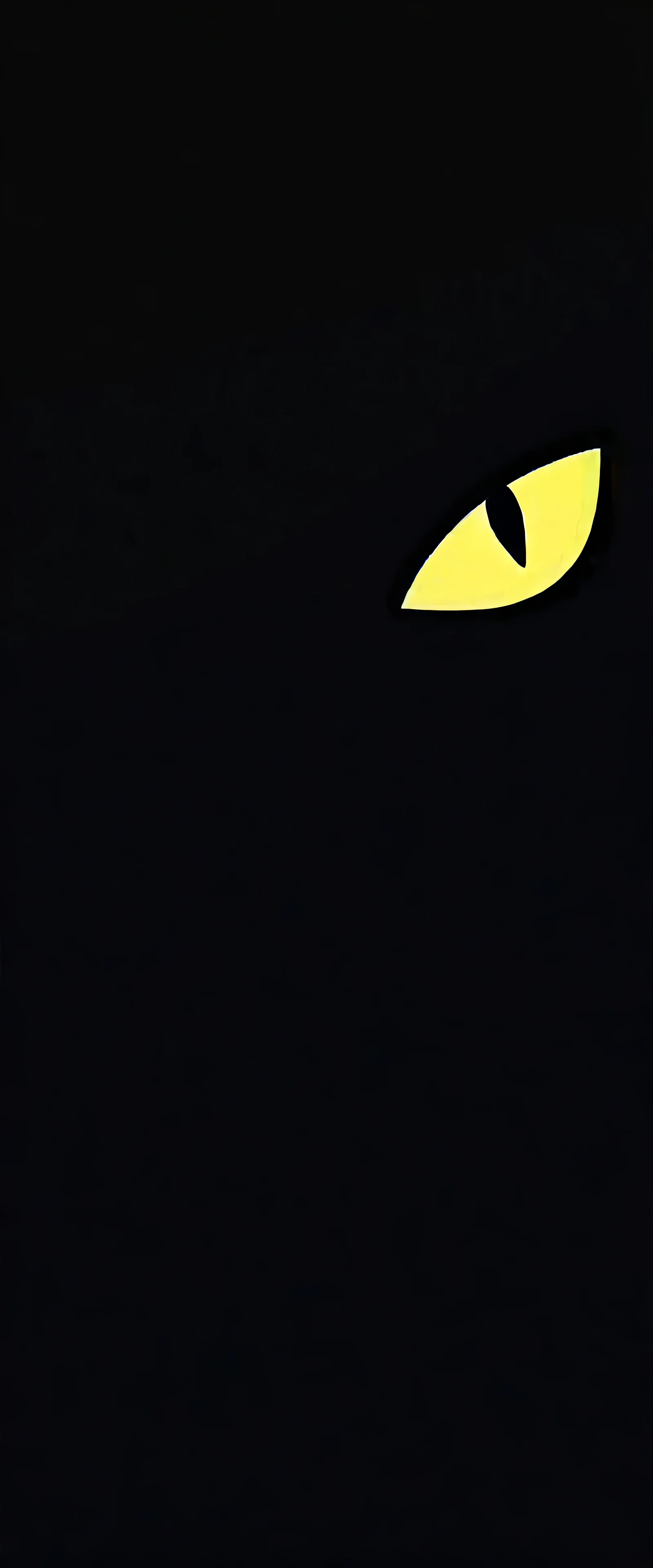 only angry cat eyes on black background