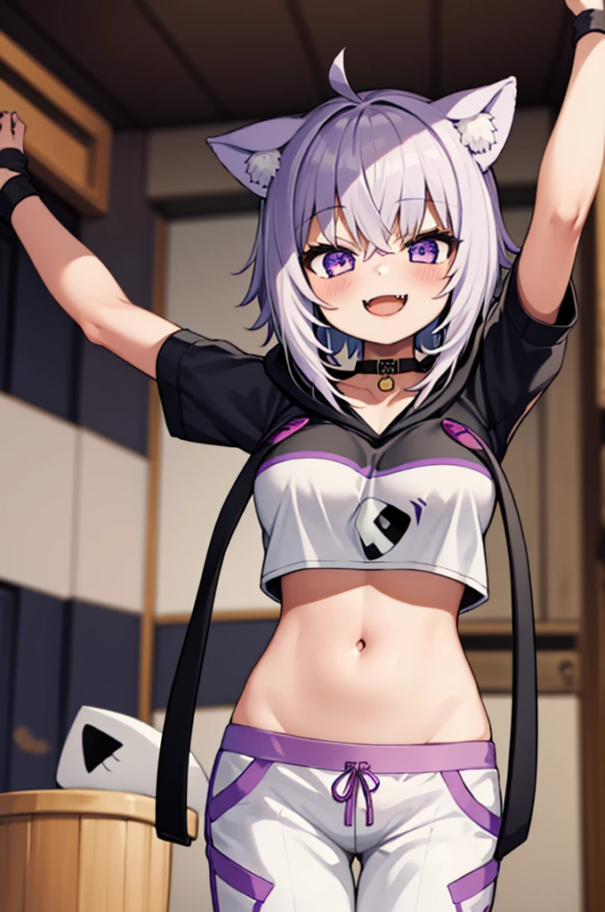 masterpiece, best quality, absurdres, perfect anatomy, 1girl, solo, okayudefault, black hoodie, (onigiri print), [navel], white pants, cat tail, ahoge, smile, fangs, spread arms, indoors, 