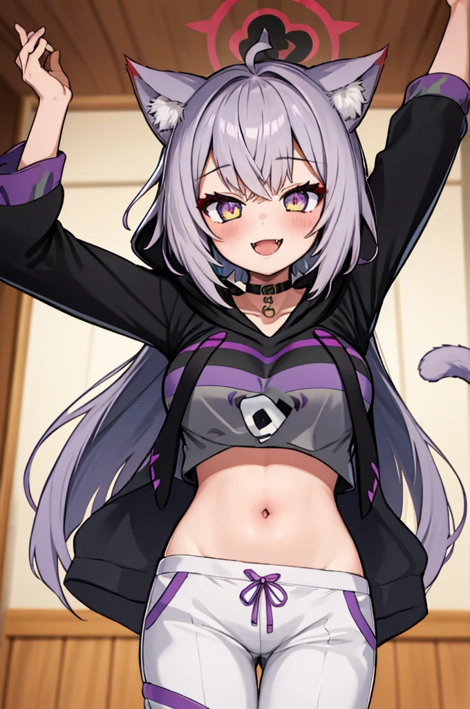 masterpiece, best quality, absurdres, perfect anatomy, 1girl, solo, okayudefault, black hoodie, (onigiri print), [navel], white pants, cat tail, ahoge, smile, fangs, spread arms, indoors, 