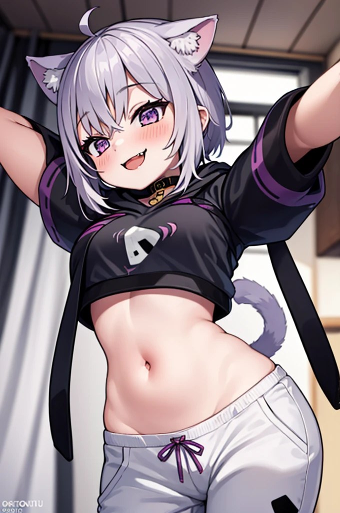 masterpiece, best quality, absurdres, perfect anatomy, 1girl, solo, okayudefault, black hoodie, (onigiri print), [navel], white pants, cat tail, ahoge, smile, fangs, spread arms, indoors, 