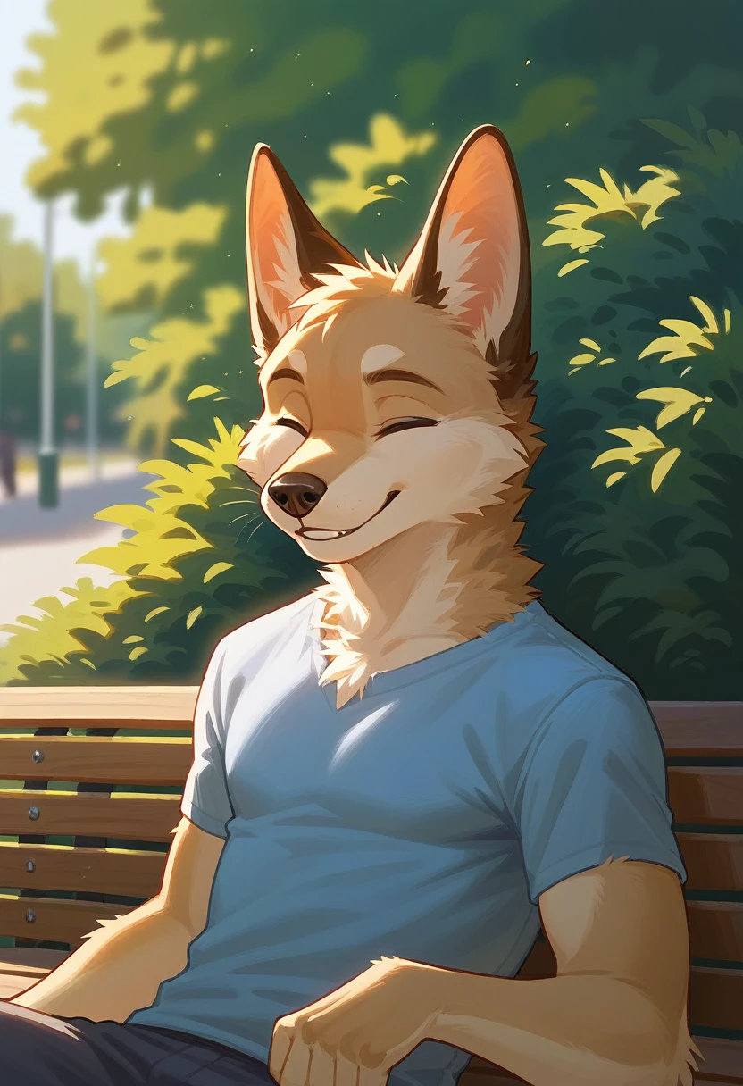 (furry art, Digital art, uploaded_on_e621:1.4, anthro furry:1.5), Dog, male, furry, anthropomorphic, wearing casual cloths, solo, outside, in park, siting on bench, in focus, face and upper body focus, looking at viewer, smiling with eyes closed (RTX lighting, Detailed)
