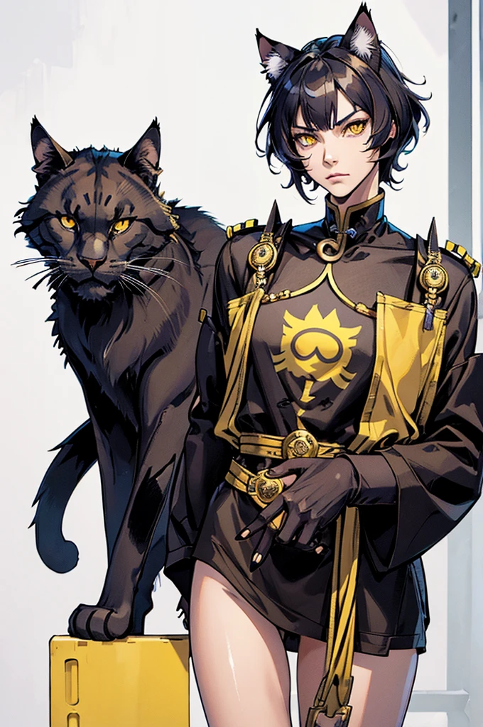 A cat-like humanoid, comprido, Scrawny, slim, Cao Cao, cat syrup, big cat ears, yellow eyes, corpo slim e comprido, Fine body.