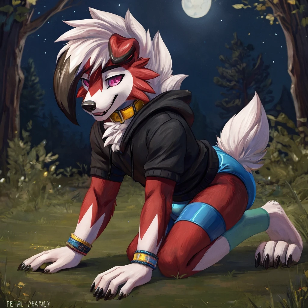 A dark purple Midnight femboy lycanroc wearing a black sweatshirt and a blue diaper and white socks with black stripes and a gold colored dog collar on his neck and with bracelets on his arms and crawling