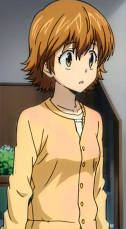 kyoko1, short hair, brown hair, brown eyes, White t shirt, shortslevees, squared neck shirt, pink Striped Dress,Yellow cardigan, unbuttoned cardigan, masterpiece, looking at the viewers, high quality,  
