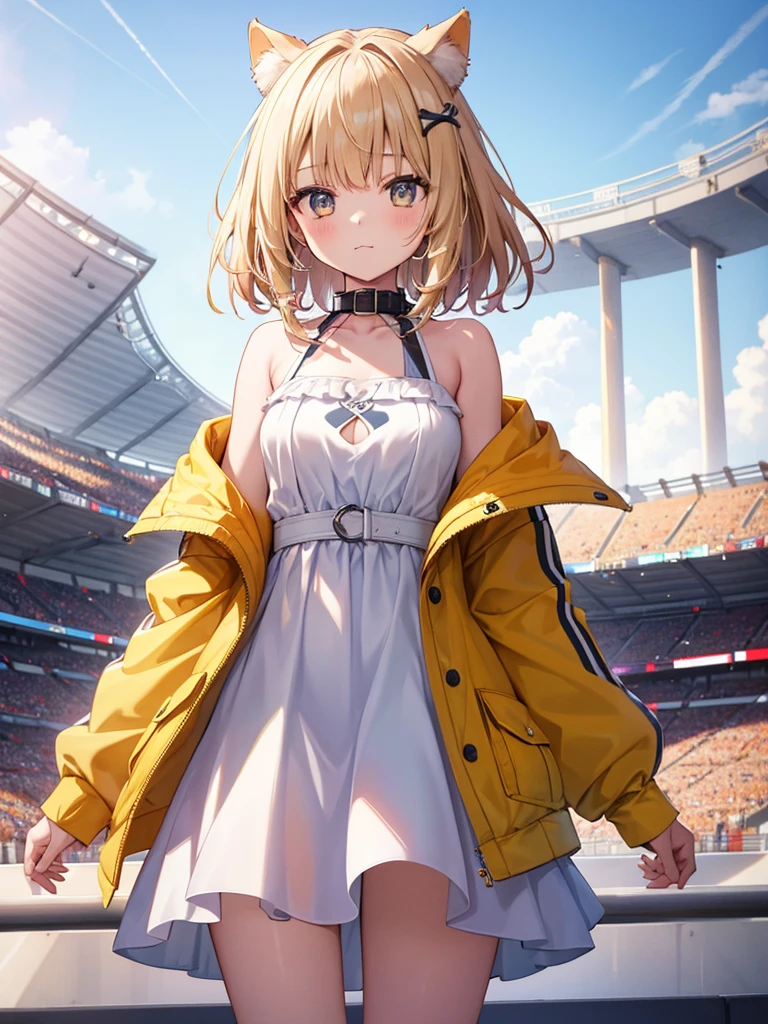 One girl, alone, Stadium, Are standing, Cowboy Shot, :\3, View your viewers, corone default, Yellow Jacket, White Dress, Off the shoulder, Animal Collars, Low Twin Blade, Bone Hair Ornament, Dog's tail