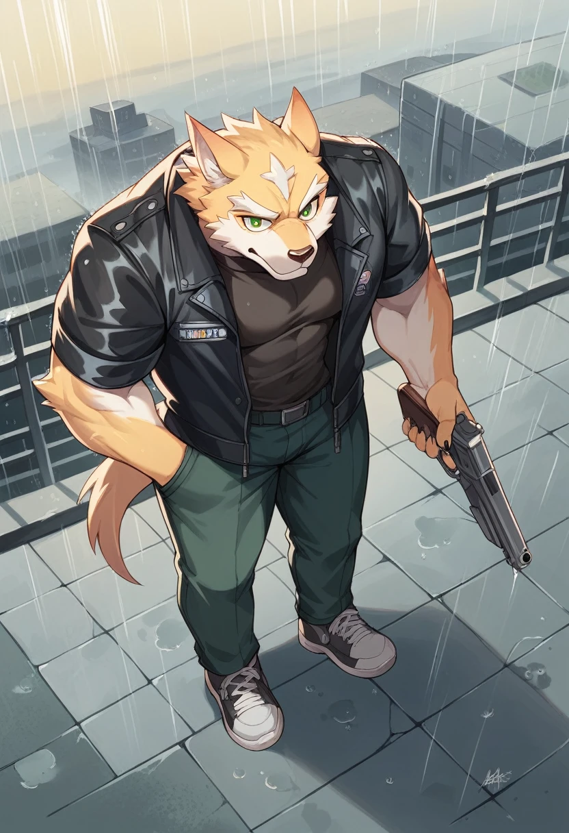 Masterpiece, Best Quality, absurd resolution, ultra detailed, perfect anatomy,
monomasa, 
por canandne khai, for you.and.stars, (by DRKS:0.28), (by Pino Daeni:0.8),
furry, muscular male, lobo, well-built, Alone, green pupils, sneakers, 
Jacket, dress, dynamic angle, high angle view, Blade, holding gun, 
rain, cloudy, urban landscape, 