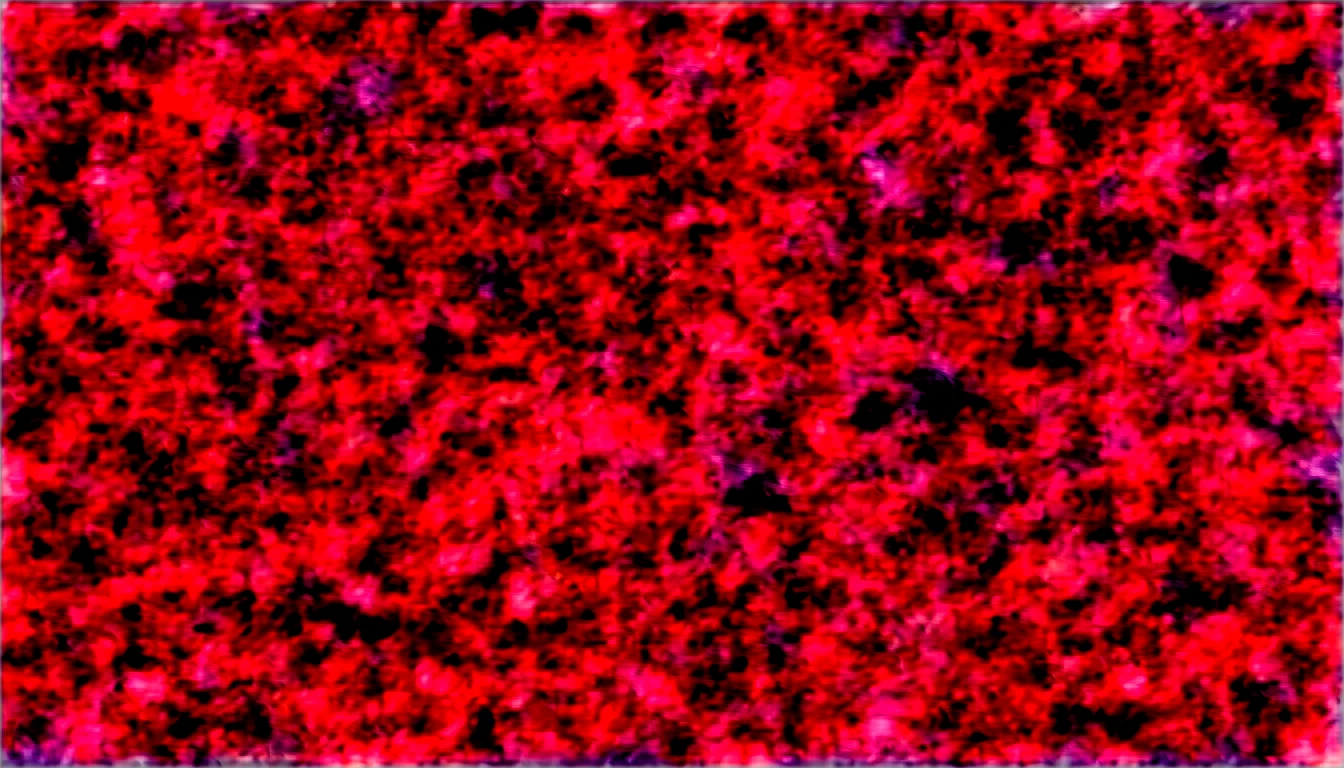 (score_9, score_8_up, score_7_up, score_6_up:1.4), (ai-generated:1.4), (Maximize Detail Slider:1.4), (Insanely Detailed:1.4), (easynegative:1.4), (source_anime:1.4), 1girl, (explicit sexual acts), (explicit photography:1.8), sex, sex from behind, hu tao (genshin impact), brown hair, red eyes, (hands behind back:1.6), sidelocks, long hair, flower hat, bent over, balcony, skirt, (flower-shaped pupils), lust, anus, (rolling eyes, lip bite:1.5), black dress, penis, vaginal, fucking, (interracial:2.0), (deep penetration), uncensored, (sedictive buttocks:1.8), (shapely thighs:1.6), beautiful cinematic light, shallow depth of field, photographed on a Hasselblad X1D II 50c, 90mm f/2. 8 cine lens, sharp focus, cinestill 800T, (highly detailed, intricately detailed), HDR, 8k, cinematic film still from [jungle|sunset], from behind, big ass, beautiful cinematic light, shallow depth of field, photographed on a Hasselblad X1D II 50c, 90mm f/2. 8 cine lens, sharp focus, cinestill 800T, (highly detailed, intricately detailed), HDR, 8k, cinematic film still from [jungle|sunset].