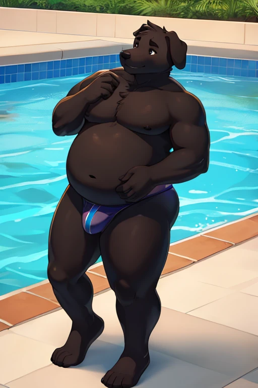 A chubby shirtless anthropomorphic black lab wearing, a orange speado, at a pool, full body, solo,