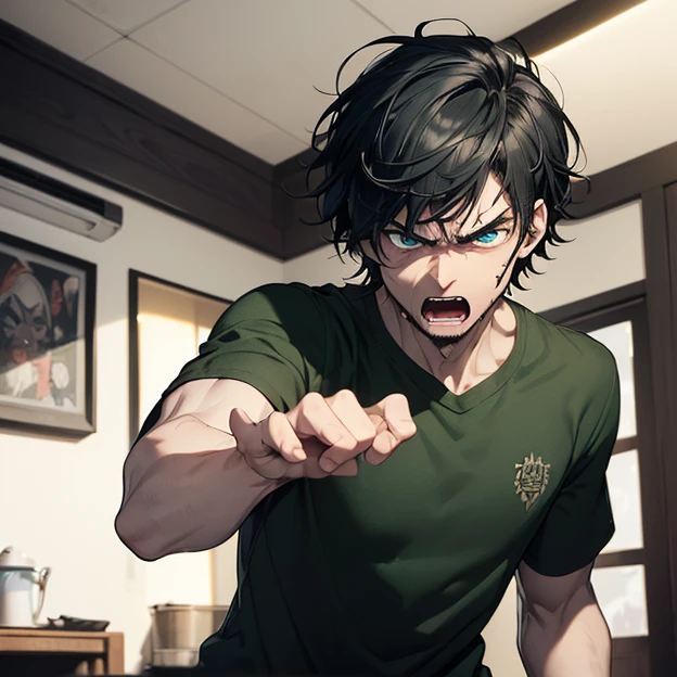 (master piece, best high quality image, very good detailed image, very good detailed character, very good detailed background, very detailed textures, carefully detailed and textures, character alone)
{{((1:character: 23 years old black hair boy, (pale skin, blue eyes, black shaggy hair, angry face, aggresive attacking pose), (green t-shirt), (cuicine room))}}