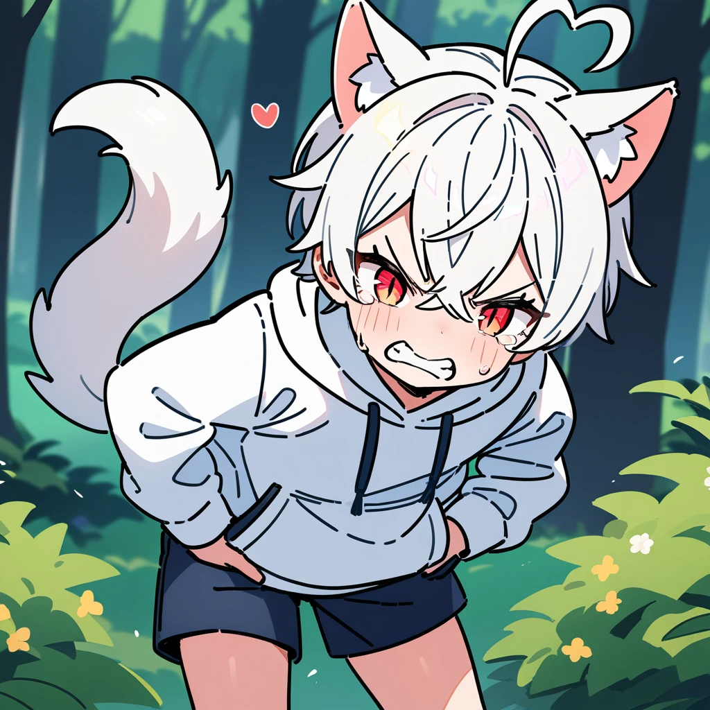 （masterpiece：1.2，high quality），8K，High resolution，A seven-year-old boy，cute boy，white hair，short hair，crossed bangs，red eyes，slit pupils，heart ahoge，cat ears，angry，clenched teeth，tears，Wearing a white hoodie，Dark blue shorts，Stand in the forest，There are flowering trees on both sides.，primary school student，thigh，alone，dog tail，（Put your hands in your pockets），（（Put your hands in your pockets））