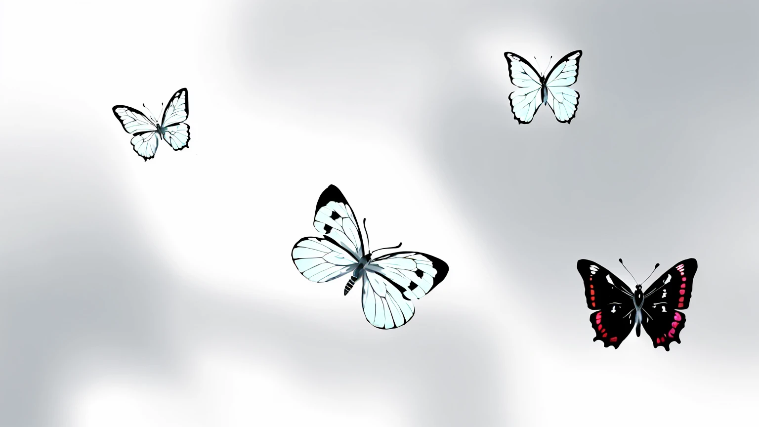 Butterfly flying in the air with a White background, Butterfly flying, Butterfly, Butterfly floating in the sky, wallpaper, black Butterfly, black and white only, Butterfly, White background!!!!!!!!!!, isolated White background, 高品质的wallpaper, desktop background, Transparent Background, Butterfly in the foreground, White background, wallpaper, harmony of Butterfly, Butterfly wings
