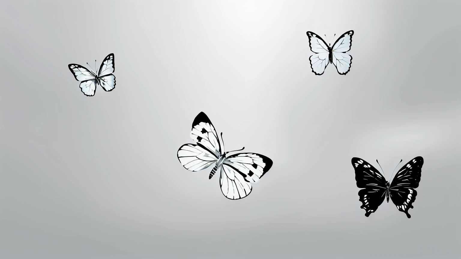 Butterfly flying in the air with a White background, Butterfly flying, Butterfly, Butterfly floating in the sky, wallpaper, black Butterfly, black and white only, Butterfly, White background!!!!!!!!!!, isolated White background, 高品质的wallpaper, desktop background, Transparent Background, Butterfly in the foreground, White background, wallpaper, harmony of Butterfly, Butterfly wings