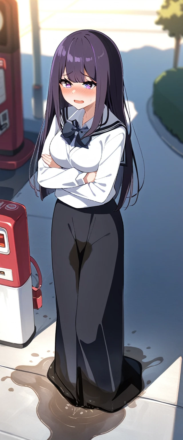 (masterpiece:1.37), best quality, (extremely detailed:1.37), (1girl:1.5), woman, (mature:1.5), (adult:1.5), large breasts, very long hair, (straight hair:1.5), (very dark purple hair:1.5), purple eyes, (extremely detailed eyes:1.37), sweater, scarf, very long dress, desperation, (wetting self:1.5), standing, (crossed arms:1.5), embarrassed, humiliation, blushing, angry, gas station, snowing, street, golden hour, full body