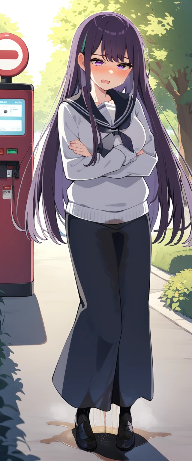 (masterpiece:1.37), best quality, (extremely detailed:1.37), (1girl:1.5), woman, (mature:1.5), (adult:1.5), large breasts, very long hair, (straight hair:1.5), (very dark purple hair:1.5), purple eyes, (extremely detailed eyes:1.37), sweater, scarf, very long dress, desperation, (wetting self:1.5), standing, (crossed arms:1.5), embarrassed, humiliation, blushing, angry, gas station, snowing, street, golden hour, full body