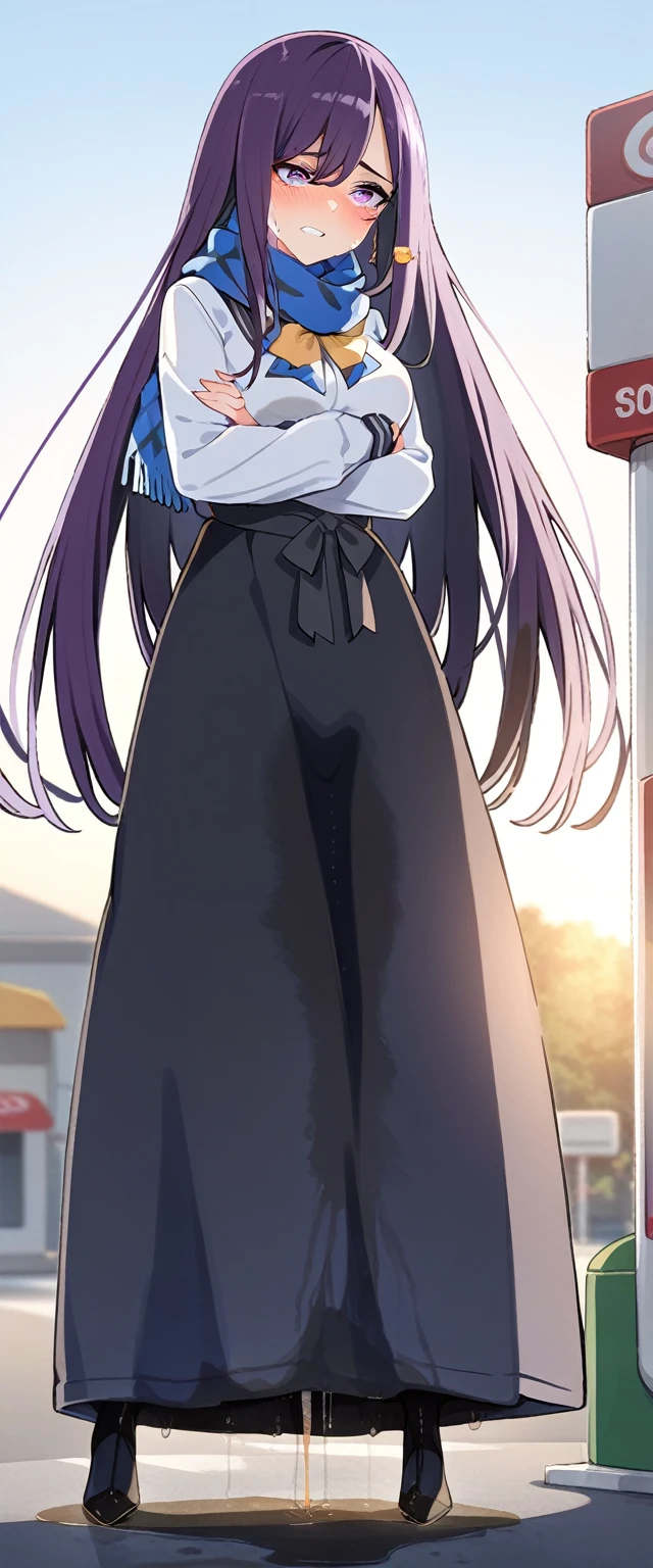 (masterpiece:1.37), best quality, (extremely detailed:1.37), (1girl:1.5), woman, (mature:1.5), (adult:1.5), large breasts, very long hair, (straight hair:1.5), (very dark purple hair:1.5), purple eyes, (extremely detailed eyes:1.37), sweater, scarf, very long dress, desperation, (wetting self:1.75), standing, (crossed arms:1.5), embarrassed, humiliation, blushing, angry, gas station, snowing, street, golden hour, full body
